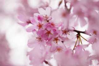 20110331231906020.jpg