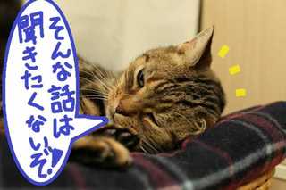 a_20121118061113.jpg